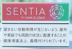 画像1: センティア・ジューシー・レッド　１カートン(１０個)単位で取り寄せ商品　2024/8/7新発売.予約受付ますが、発送は入荷後になります。