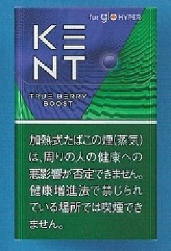 画像1: ケント・トゥルー・ベリー・ブースト・glohyper用　カートン(10個）単位で取り寄せ商品