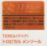 画像: テリア・トロピカル・メンソール　E　１カートン(１０個)単位で取り寄せ商品　