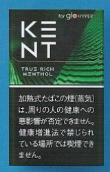 画像: ケント・トゥルー・リッチ・メンソール・glohyper用　カートン(10個）単位で取り寄せ商品