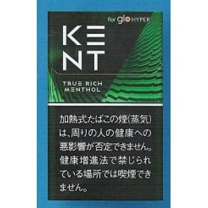 画像: ケント・トゥルー・リッチ・メンソール・glohyper用　カートン(10個）単位で取り寄せ商品