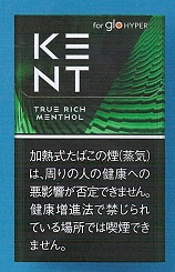 画像1: ケント・トゥルー・リッチ・メンソール・glohyper用　カートン(10個）単位で取り寄せ商品